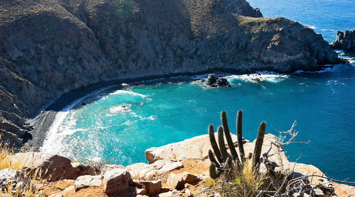 Baja’s Best Kept Secret: Topia in Early Summer