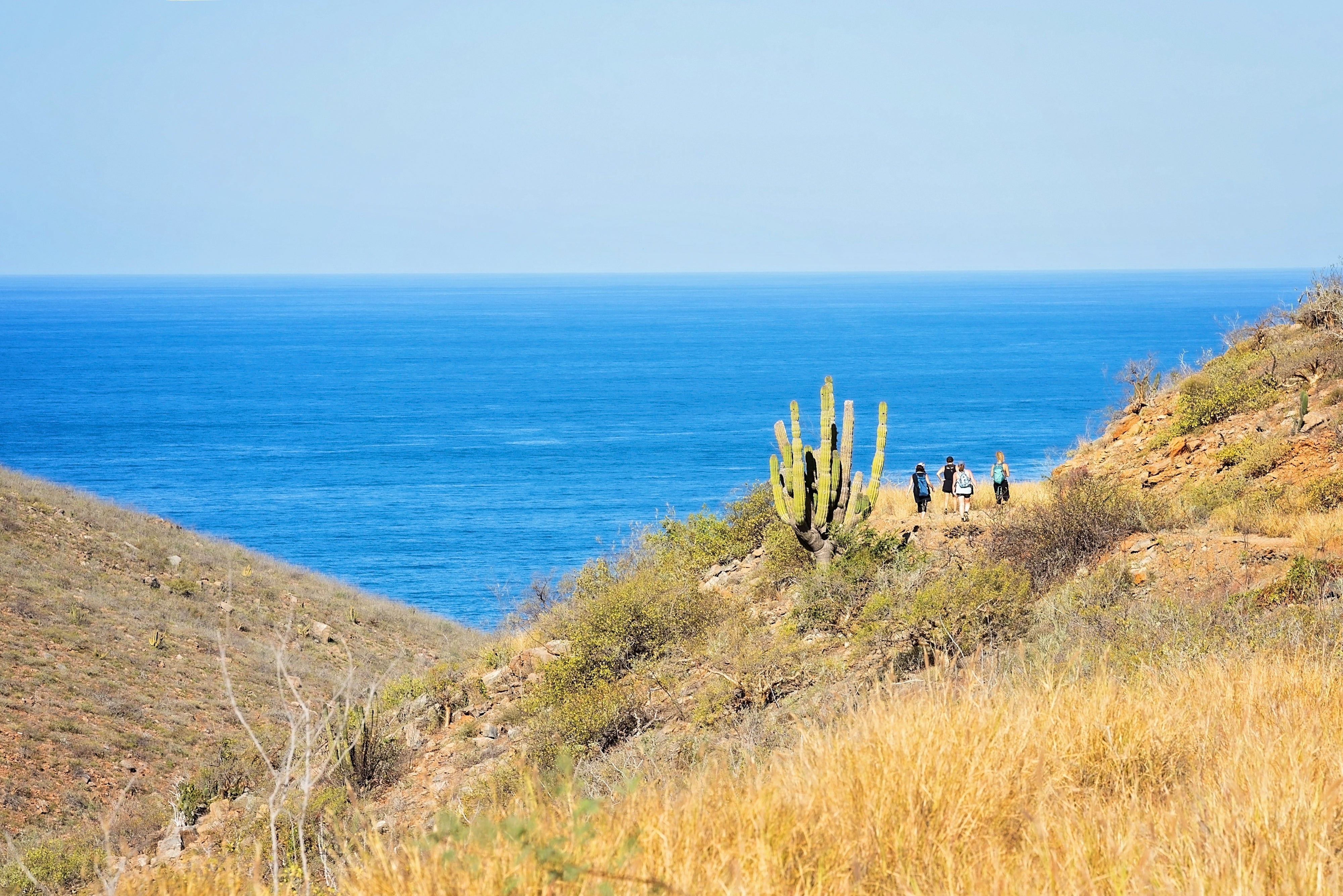 The Baja Mindset: How to Make the Most of Your Time in Pescadero + Todos Santos